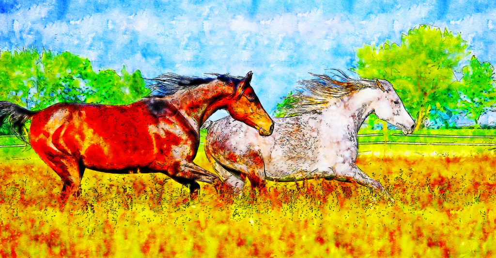 PASTURES WATERCOLOR DRAWING by sparrowbh.net